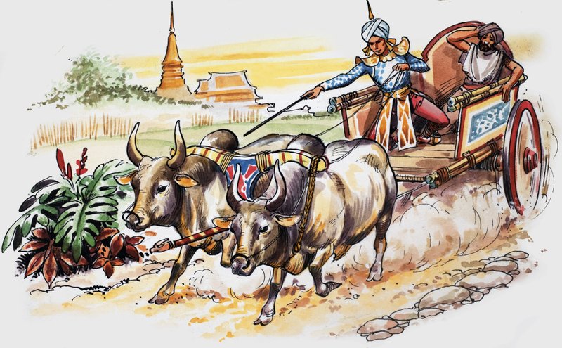 Historier fra mange land av Nadir Quinto