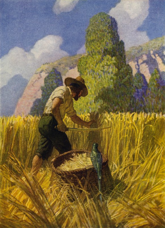 Illustrasjon for Robinson Crusoe (farge litho) av Newell Convers (after) Wyeth