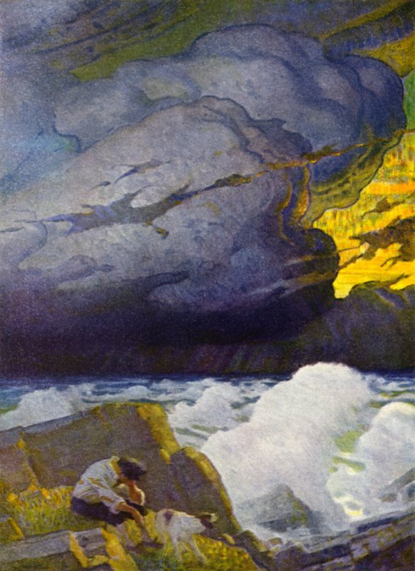 Illustrasjon for Robinson Crusoe (farge litho) av Newell Convers (after) Wyeth