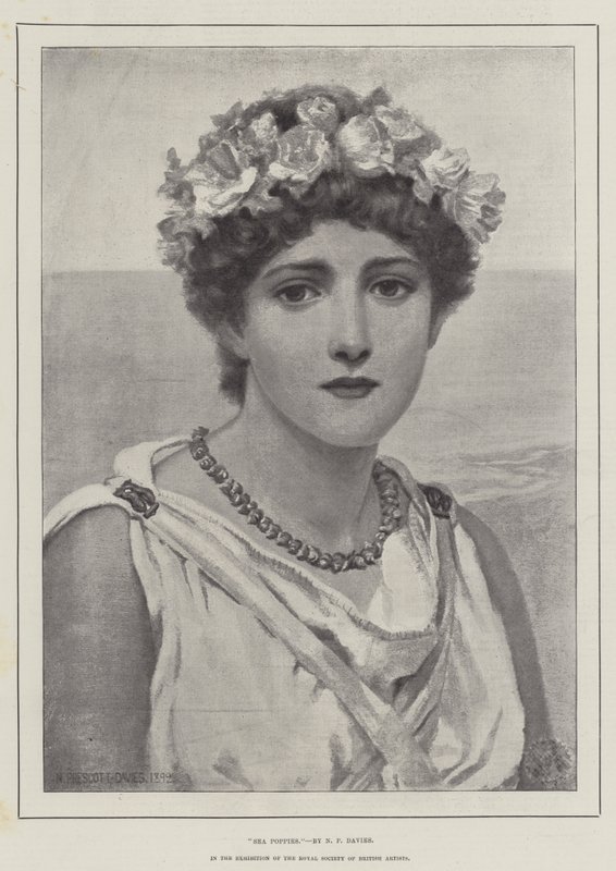 Sjøvalmuer av Norman Prescott Davies