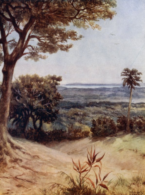 Havannah Harbour, Rathmoy, New Hebrides (farge litho) av Norman Hardy