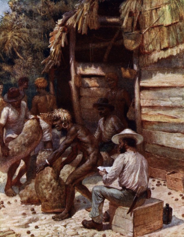 Johnnie Pratt med sine elfenbensnøtter på Simbo, Salomonøyene (farge litho) av Norman Hardy