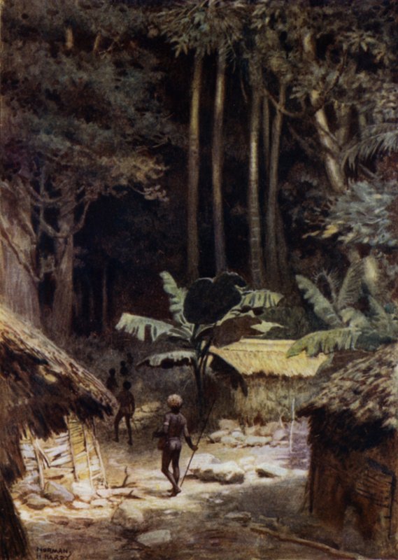 I utkanten av en urskog, Salomonøyene (farge litho) av Norman Hardy