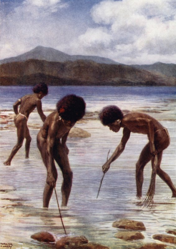 Søker etter små blekkspruter på revet ved lavvann, Samari, Britisk Ny-Guinea (farge litho) av Norman Hardy