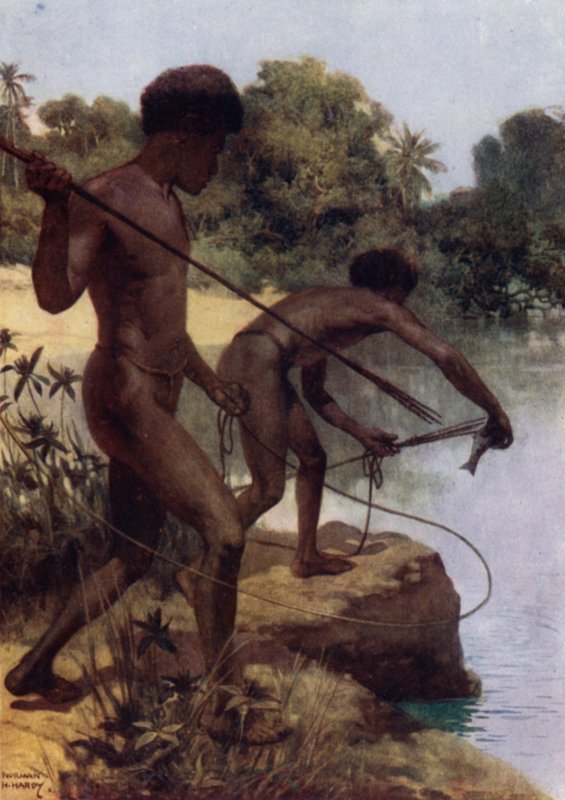 Spearing Fish, Britisk New Guinea (farge litho) av Norman Hardy