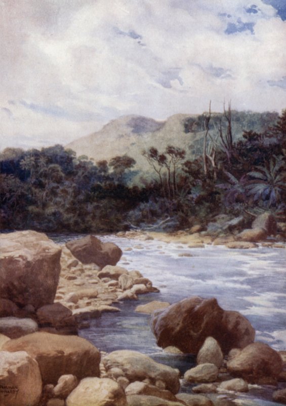 The Rapids, Williams River, Island of Eromanga, New Hebrides (farge litho) av Norman Hardy