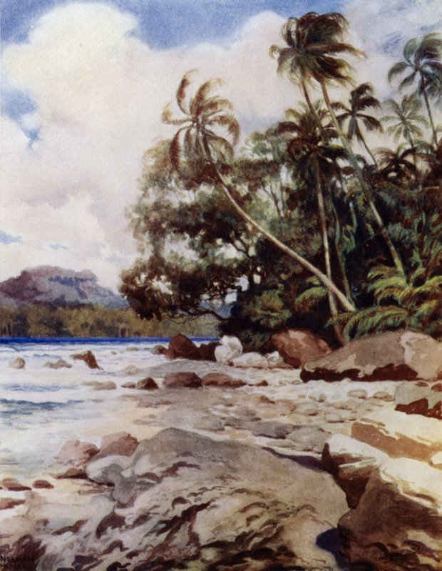 Revet nær Simbo, Salomonøyene (farge litho) av Norman Hardy