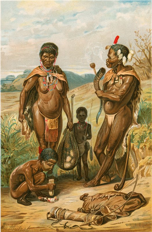 Bushman-familien av North American