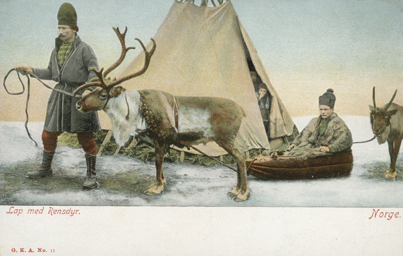 Laplandere med reinsdyr, Norge (fargebilde) av Norwegian Photographer