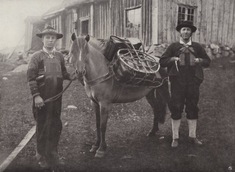 Saetersdalen Highlanders med Pack-Horse av Norwegian Photographer