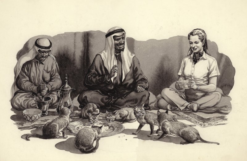 En arabisk mann mater kattene sine (gouache på papir) av Pat (1907-95) Nicolle
