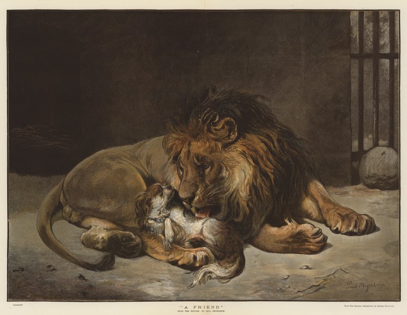 En venn (chromolitho) av Paul Friedrich Meyerheim