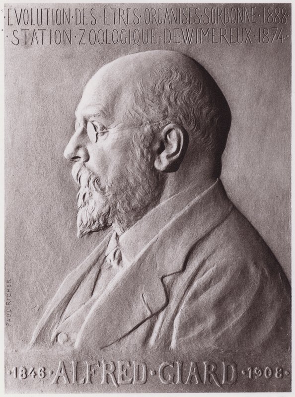 Alfred Giard (1846-1908), zoolog, portrett (litho) av Paul Marie Louis Pierre Richer