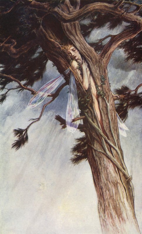 The Tempest av William Shakespeare, Act I, Scene 2 (farge litho) av Paul Vincent Woodroffe