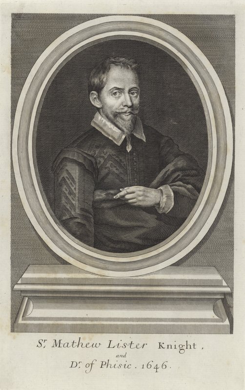 Sir Matthew Lister av Paul van Somer