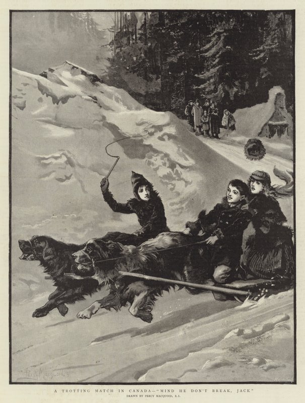 En travkamp i Canada, pass på at han ikke bryter, Jack av Percy Macquoid