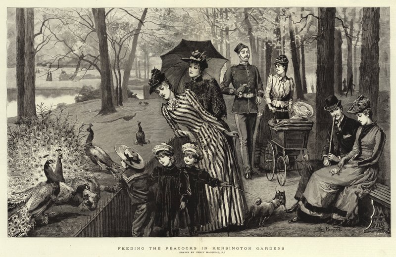 Mate påfuglene i Kensington Gardens av Percy Macquoid