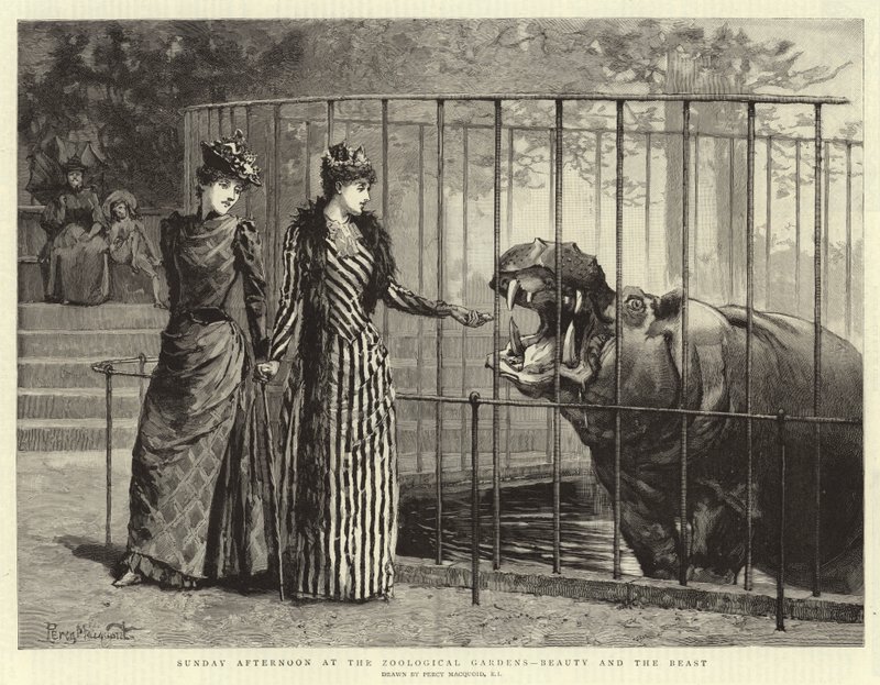 Søndag ettermiddag i Zoological Gardens, Beauty and the Beast av Percy Macquoid