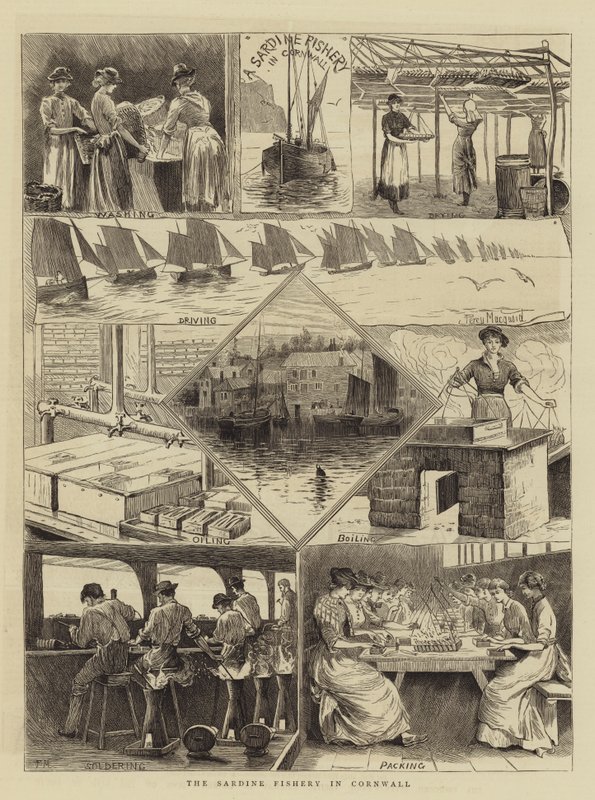 Sardinfisket i Cornwall av Percy Macquoid