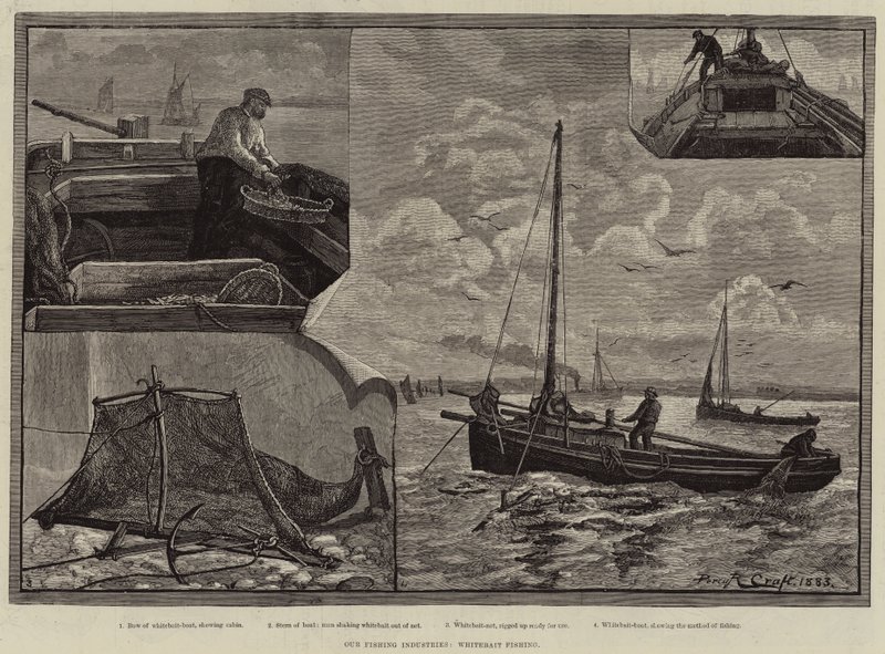 Vår fiskeindustri, Whitebait Fishing av Percy Robert Craft