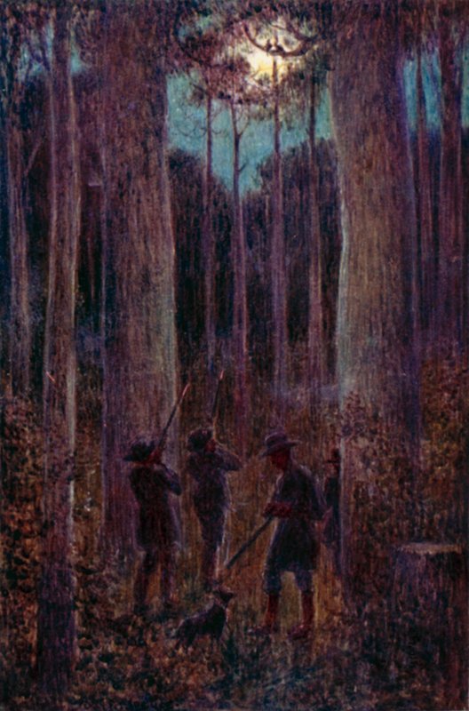 Den australske skogen om natten, "mooning" opossums (farge litho) av Percy F.S. (after) Spence