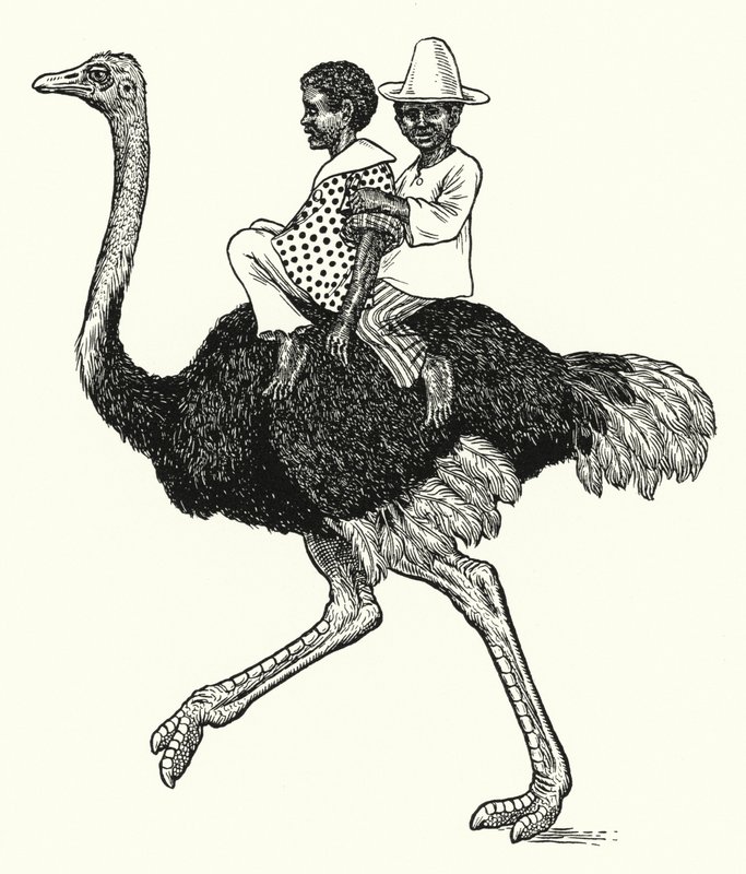 Strutsridning (litho) av Percy James Billinghurst