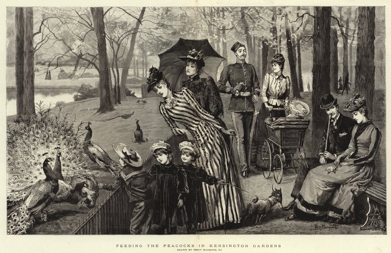 Mate påfuglene i Kensington Gardens (gravering) av Percy Macquoid