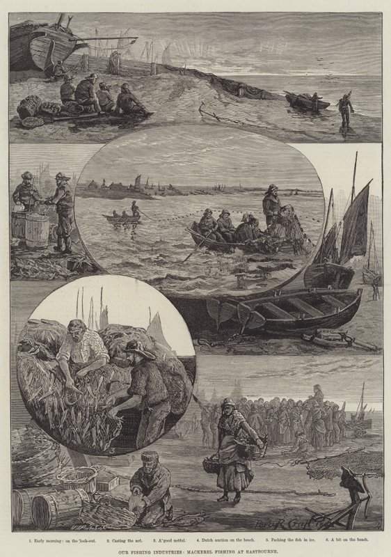 Vår fiskeindustri, makrellfiske i Eastbourne (gravering) av Percy Robert Craft