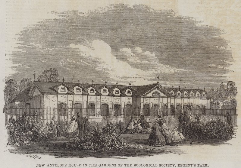 New Antilope House i Gardens of the Zoological Society, Regent