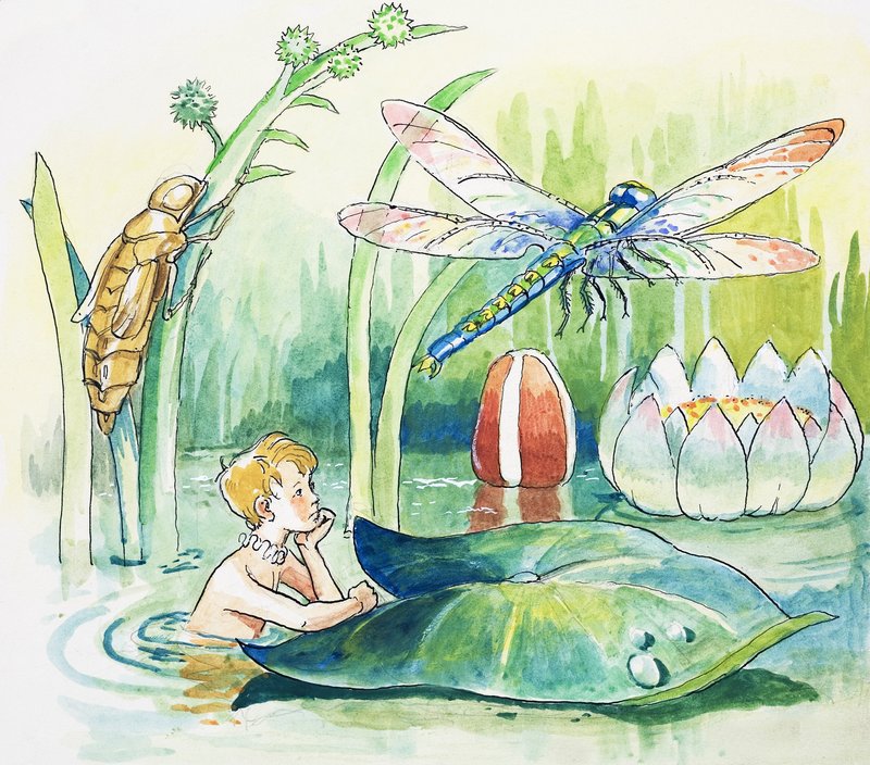 Øyenstikker, illustrasjon fra «The Water Babies» av Charles Kingsley av Philip Mendoza