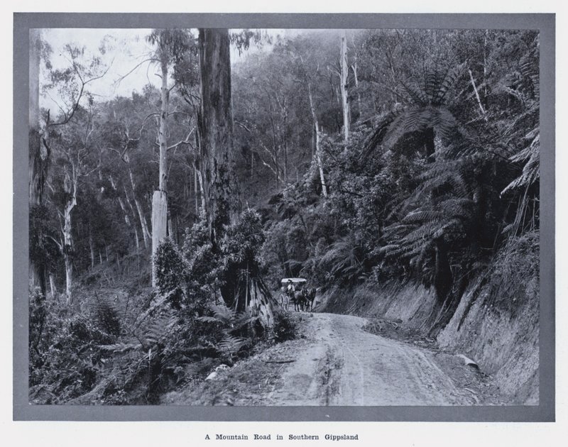 En fjellvei i det sørlige Gippsland (s/hvitt bilde) av Photographer Australian