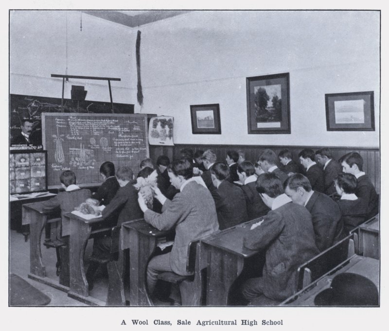 A Wool Class, Sales Agricultural High School (s/hv-bilde) av Photographer Australian