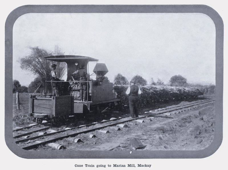 Cane Train går til Marian Mill, Mackay (s/hv-bilde) av Photographer Australian