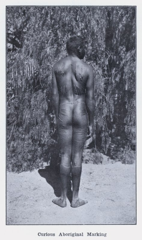 Nysgjerrig aboriginalmerking (s/hvitt-bilde) av Photographer Australian