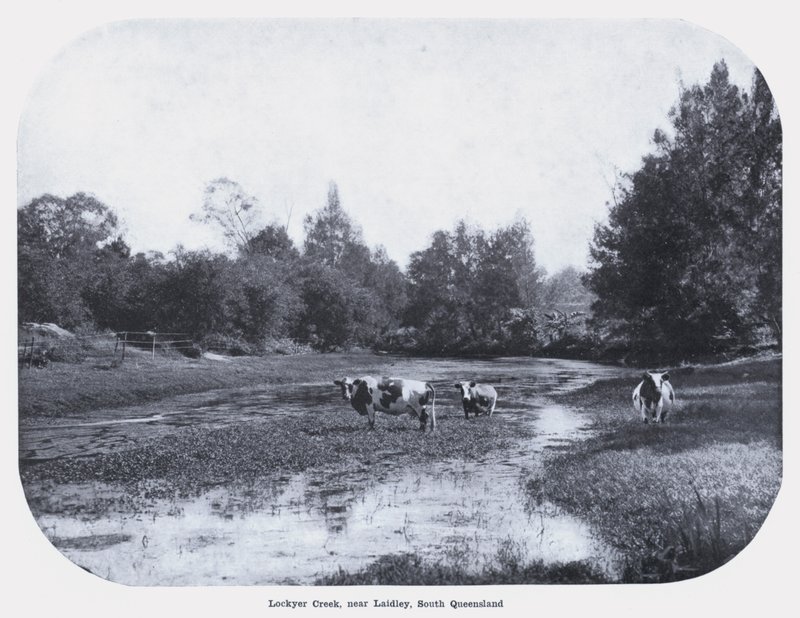 Lockyer Creek, nær Laidley, Sør-Queensland (s/hvitt-bilde) av Photographer Australian