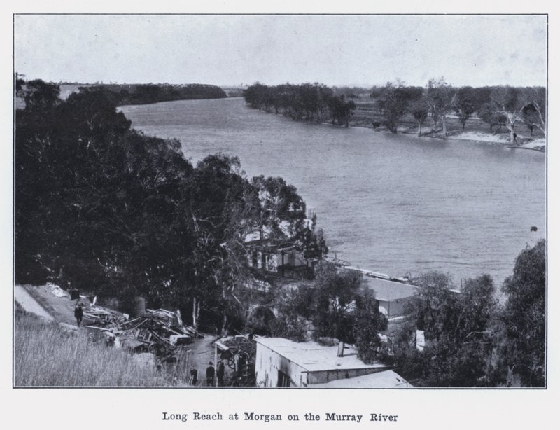 Long Reach ved Morgan på Murray River (s/hv-bilde) av Photographer Australian