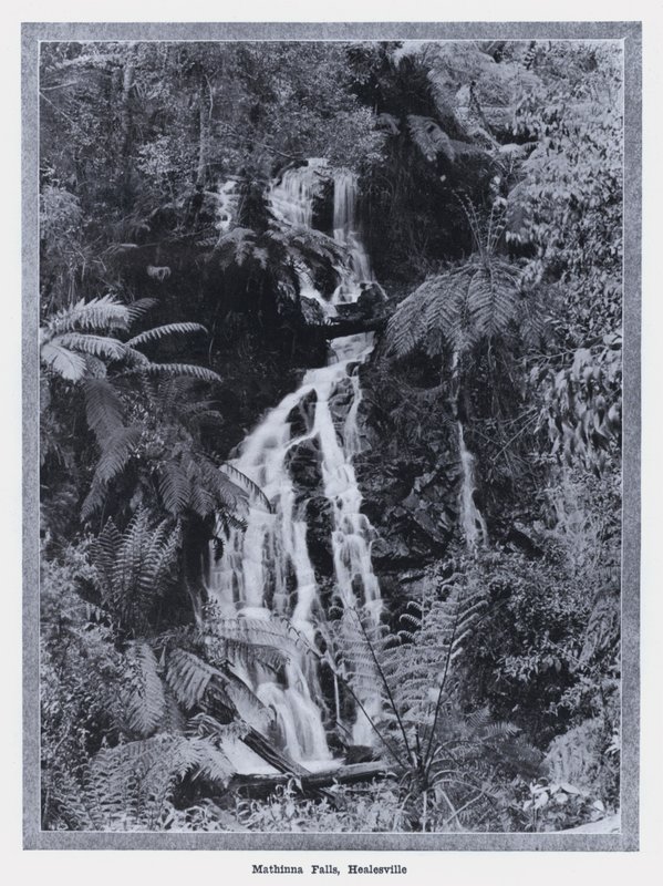 Mathinna Falls, Healesville (s/hvitt bilde) av Photographer Australian