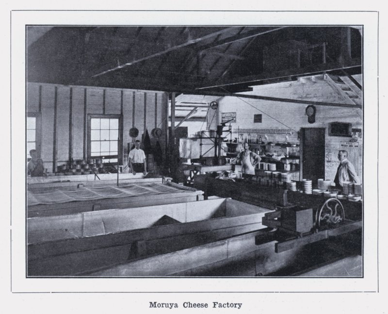Moruya Cheese Factory (s/hvitt bilde) av Photographer Australian