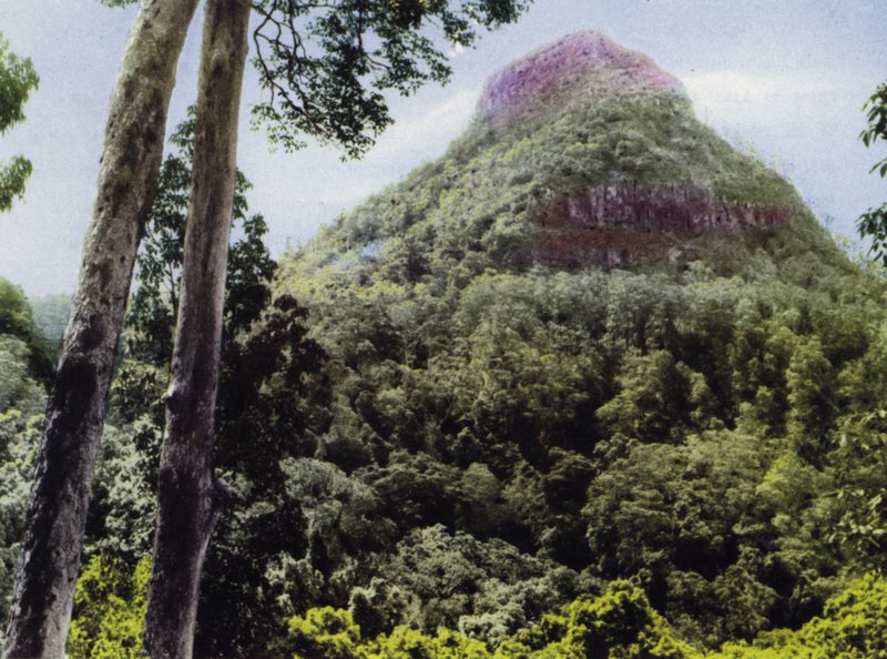 Queensland, Australia: Mt Cordeaux (bildet) av Photographer Australian