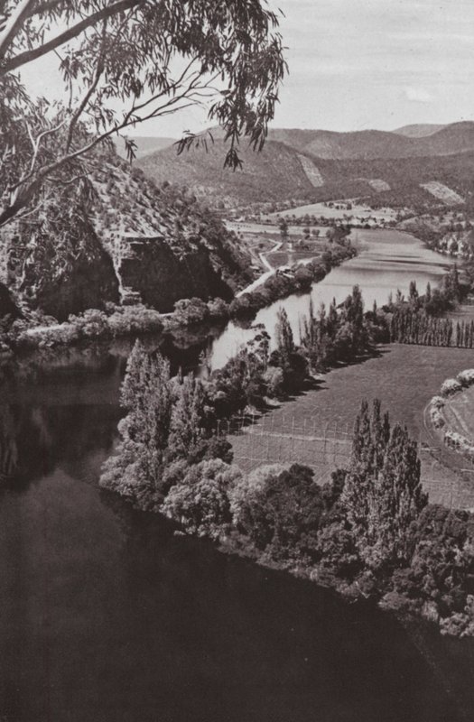 River Derwent nær New Norfolk, Tasmania (s/hvitt bilde) av Photographer Australian