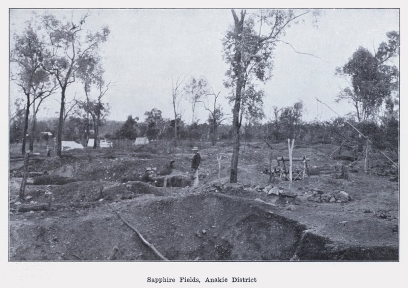 Sapphire Fields, Anakie District (s/hvitt bilde) av Photographer Australian