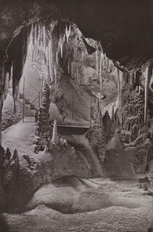 Scene i de berømte Jenolan-grottene, New South Wales (s/hvitt-bilde) av Photographer Australian
