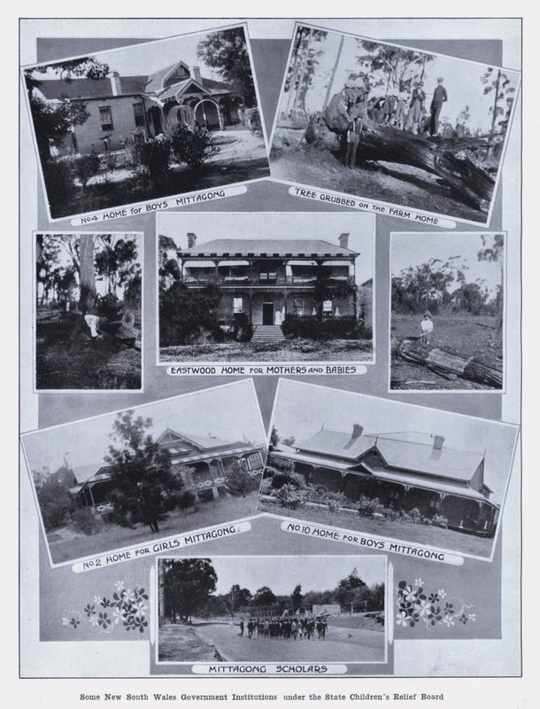 Noen regjeringsinstitusjoner i New South Wales under State Children
