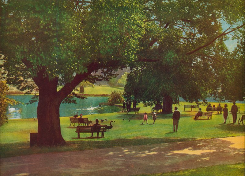 Den botaniske hagen, Melbourne (fargebilde) av Photographer Australian