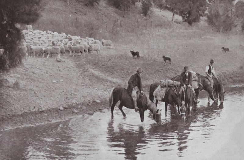 The Rest, typisk australske stockmen (s/hvitt-bilde) av Photographer Australian