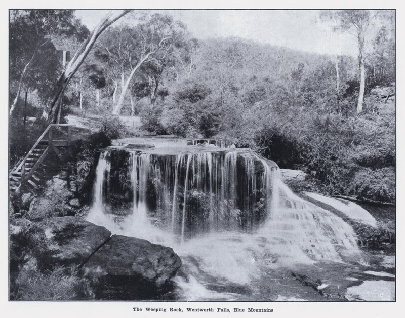 The Weeping Rock, Wentworth Falls, Blue Mountains (s/hv-bilde) av Photographer Australian