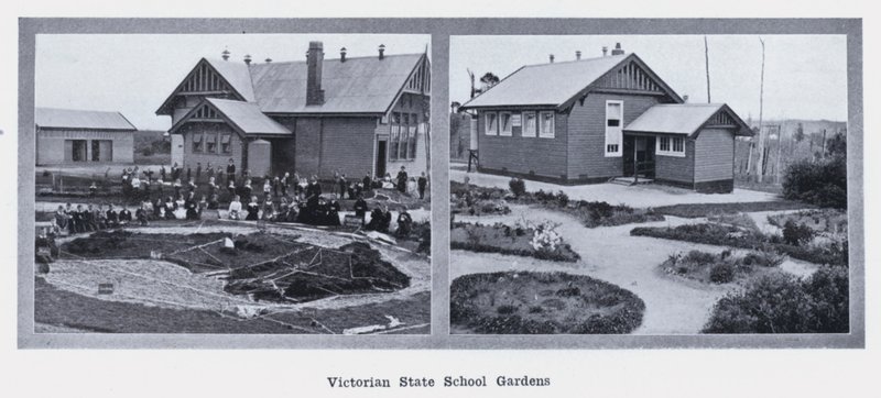 Victorian State School Gardens (s/hvitt bilde) av Photographer Australian