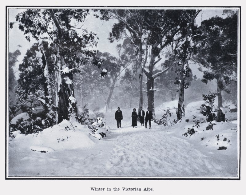 Vinter i de viktorianske alpene (s/hvitt bilde) av Photographer Australian