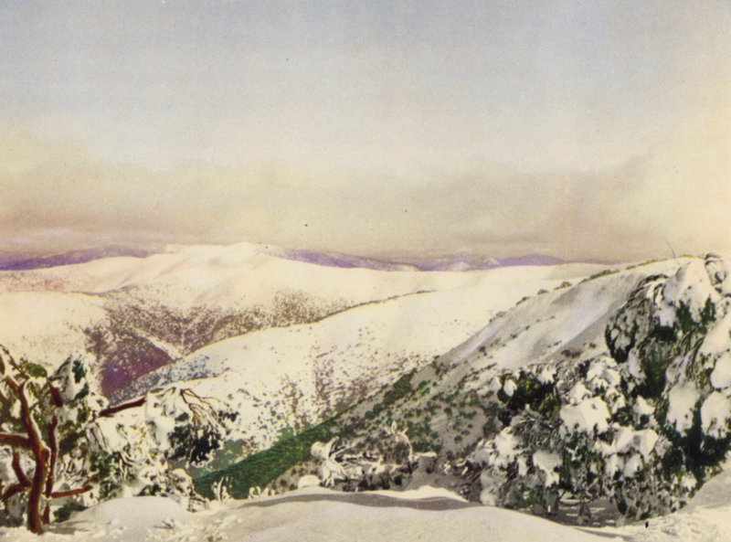 Vinter i de viktorianske alpene (fargebilde) av Photographer Australian