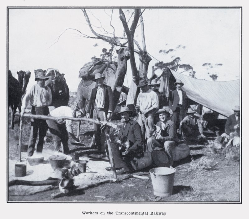Arbeidere på den transkontinentale jernbanen (s/hvitt bilde) av Photographer Australian
